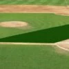 FieldSaver Mesh Infield Protector VCM9x12 Standard Mesh, 15'x20'x50' Forest Green