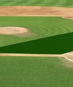 FieldSaver Mesh Infield Protector VCM9x12 Standard Mesh, 15'x20'x50' Forest Green