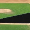 FieldSaver Mesh Infield Protector VCM9x12 Standard Mesh, 20'x24'x64' Royal