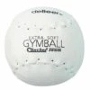 deBeer 16" Clincher Softie XF16 Gymballs, dz