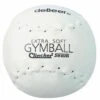 deBeer 14" Clincher Softie XF14 Gymballs, dz