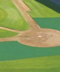 Cover Sports FieldSaver Collar Protector for Baseball & Softball Fields, Armor Mesh