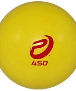 Pro Nine Weighted Sand Training Baseball/Softball